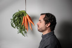 Symbolbild: Karotte vor der Nase