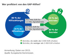 Infografik: Wer profitiert von den GAP-Hilfen?